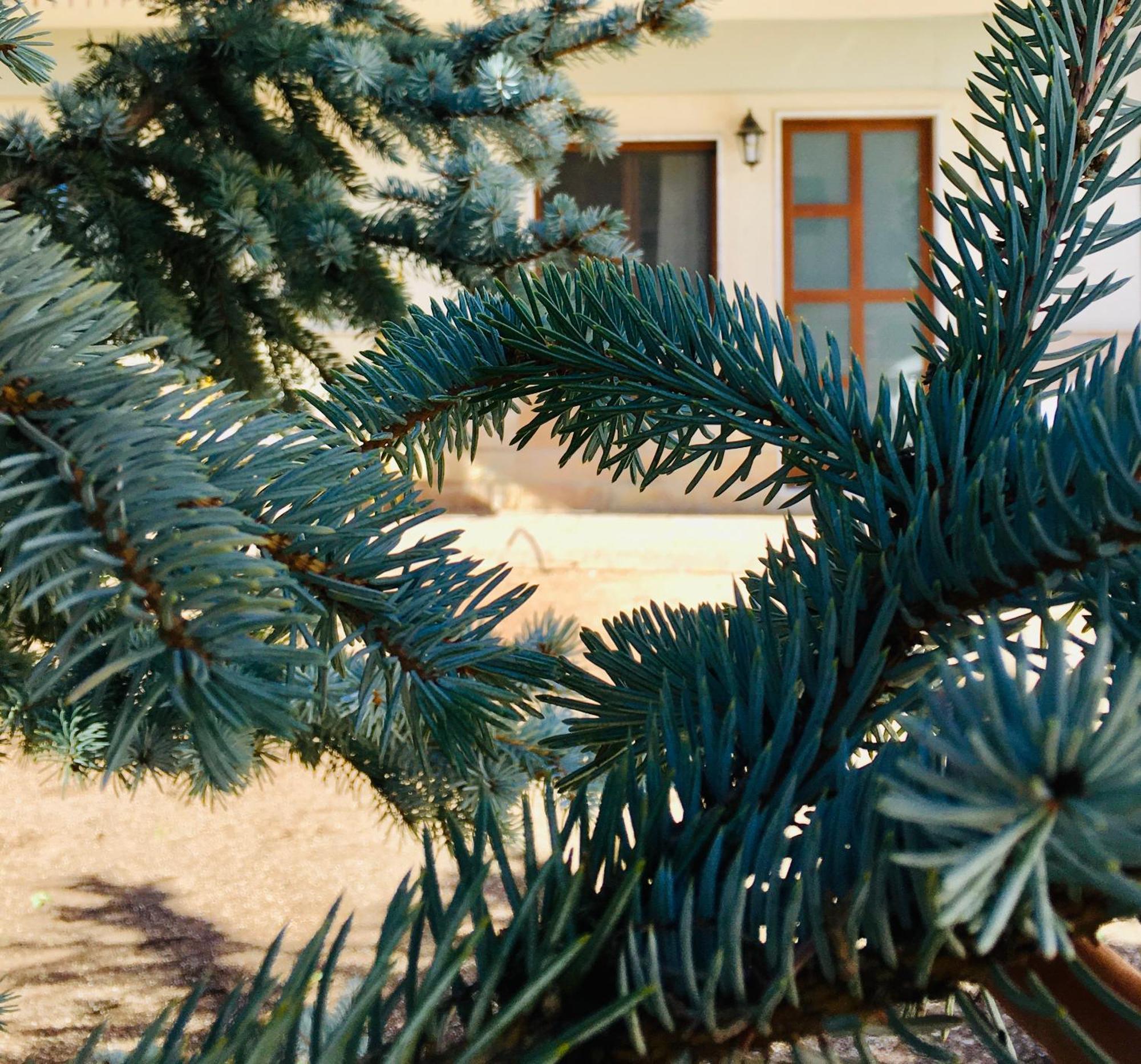 Villa Andalu Appartamenti San Giovanni Rotondo Exterior foto